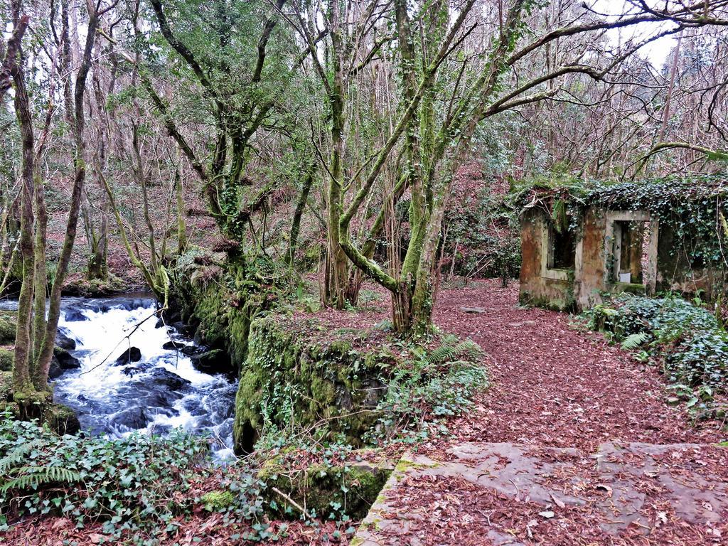 Casa Rural A Pasada Affittacamere Cedeira Esterno foto